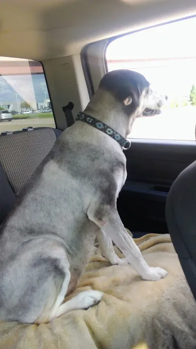 Banfield Pet Hospital Picture 8