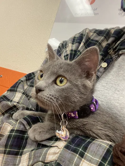 Banfield Pet Hospital Picture 5