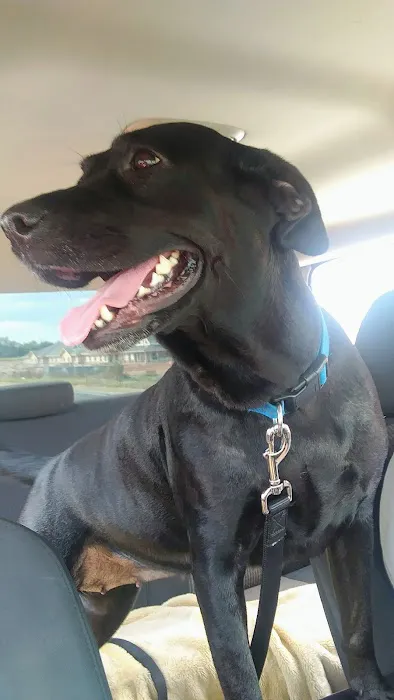 Banfield Pet Hospital Picture 6