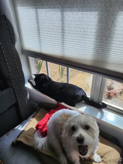 The Visiting Veterinarian Picture 5