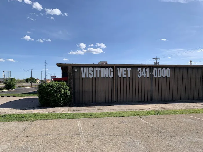 The Visiting Veterinarian Picture 10