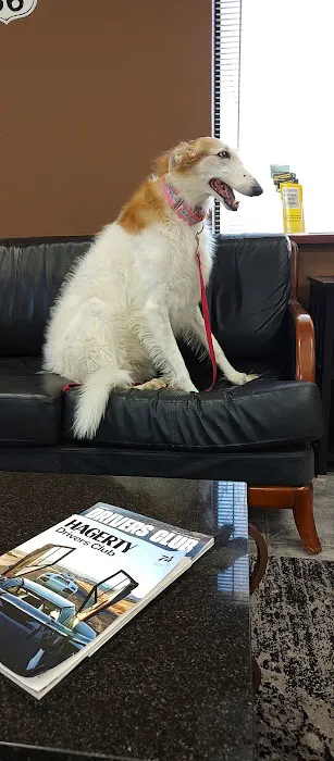 Central Oklahoma Veterinary Specialists, Susan E Streeter DVM Picture 1