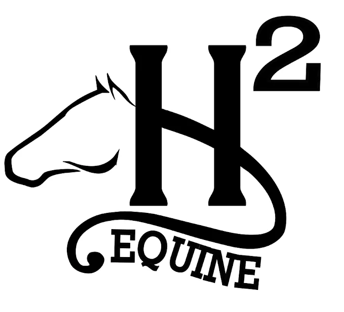 H2 Equine Picture 1