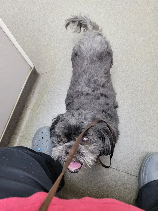 Reno Animal Hospital Picture 2