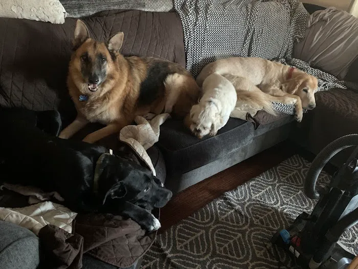 Reno Animal Hospital Picture 7