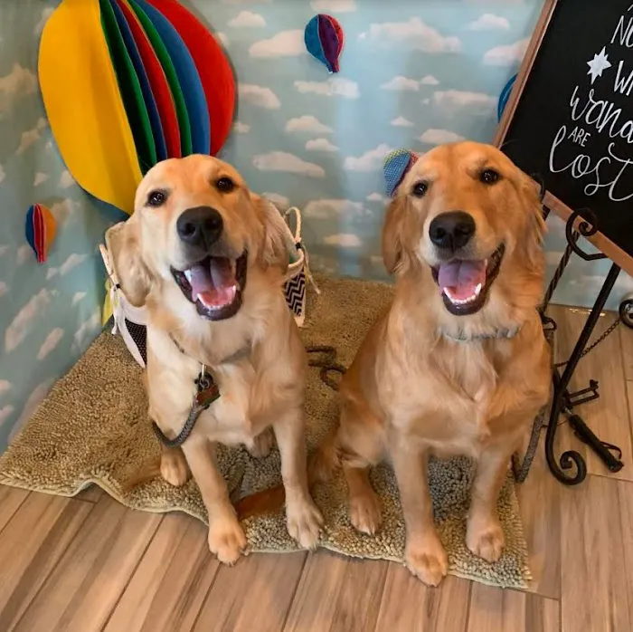 Sunset Veterinary Clinic Picture 2