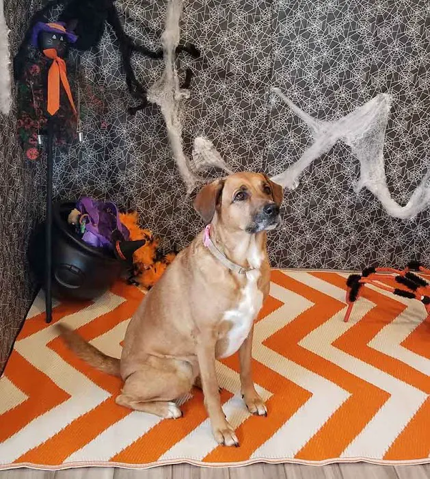 Sunset Veterinary Clinic Picture 3