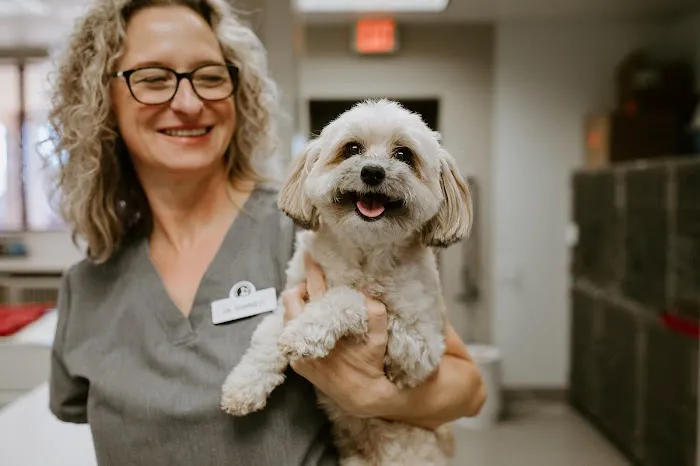 Sunset Veterinary Clinic Picture 4