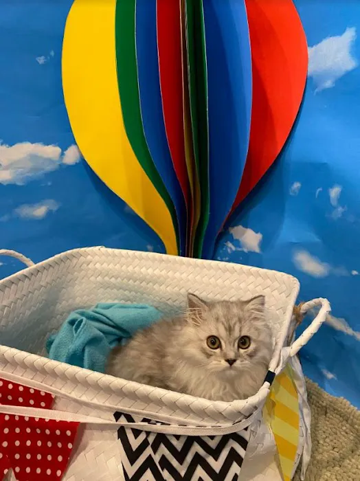 Sunset Veterinary Clinic Picture 5