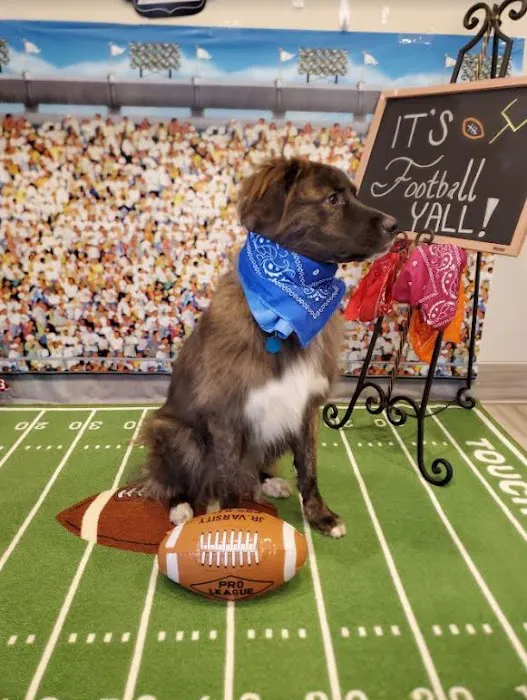 Sunset Veterinary Clinic Picture 9