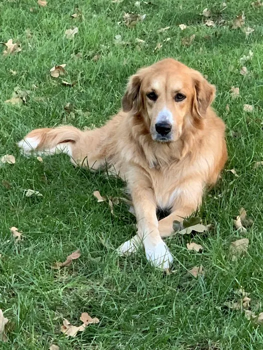 Southpointe Veterinary Clinic Picture 4