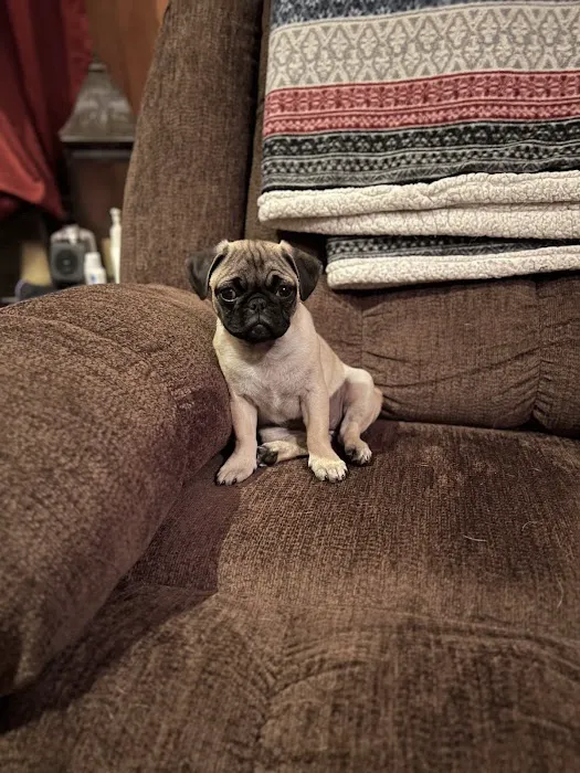 Southpointe Veterinary Clinic Picture 2