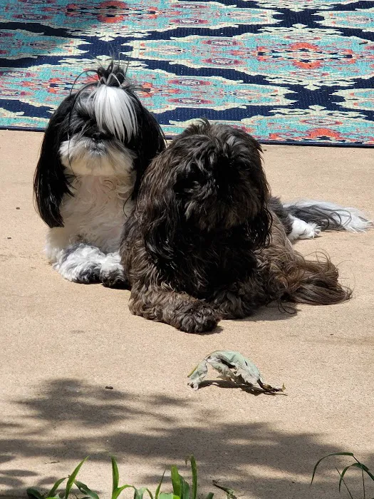 Southpointe Veterinary Clinic Picture 3