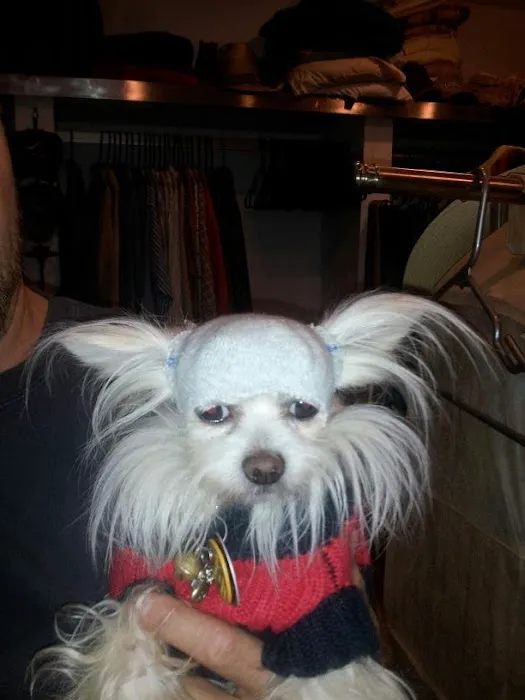 Southpointe Veterinary Clinic Picture 6