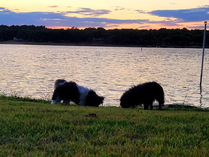 Southpointe Veterinary Clinic Picture 8