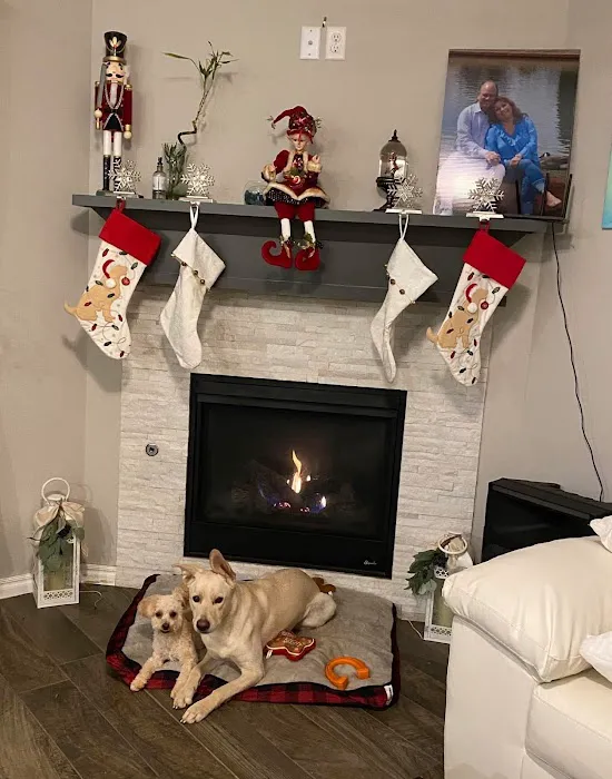 Southpointe Veterinary Clinic Picture 7