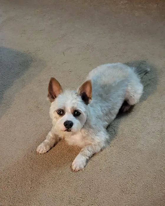 Guthrie Pet Hospital Picture 2