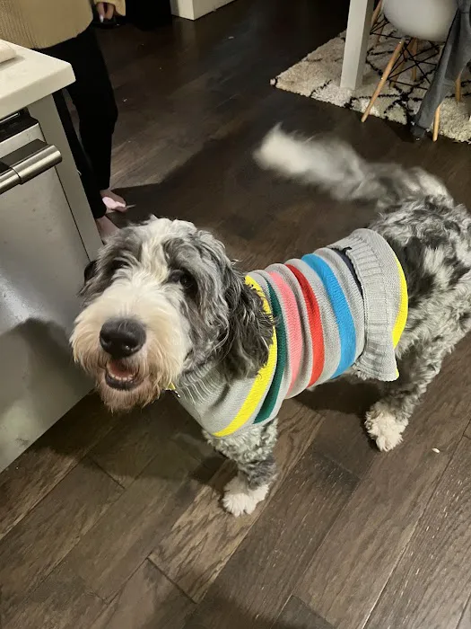 Guthrie Pet Hospital Picture 3