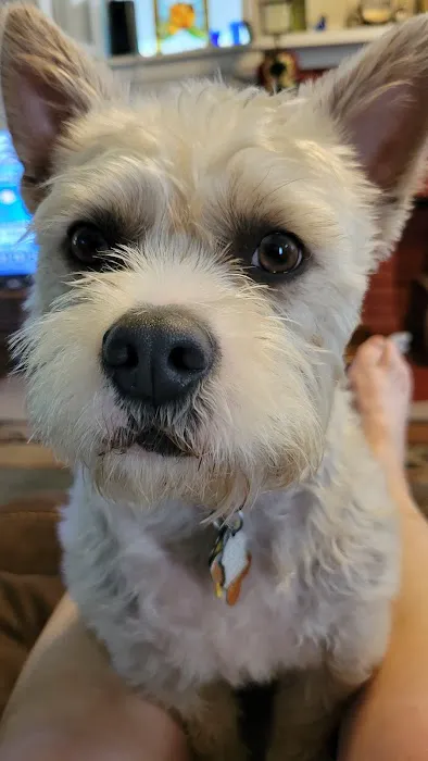 Guthrie Pet Hospital Picture 1