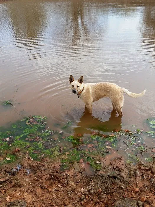 Guthrie Pet Hospital Picture 4