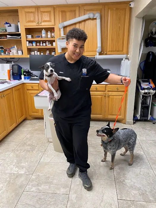 Guthrie Pet Hospital Picture 10