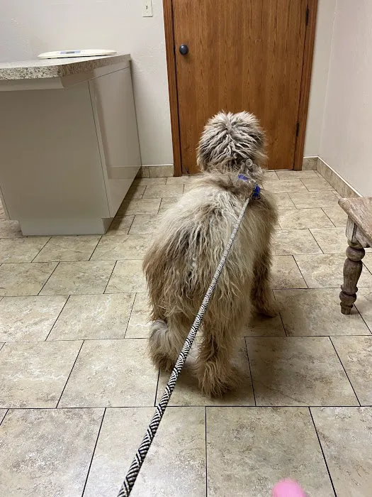 Cross Town Veterinary Services Picture 1