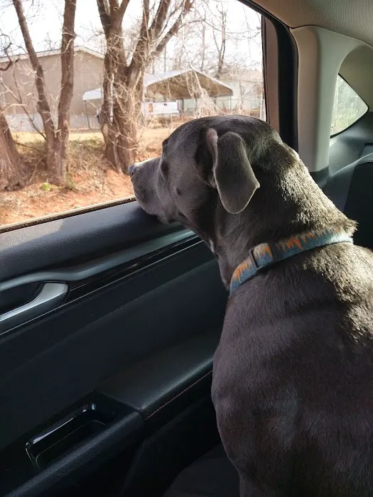 Cross Town Veterinary Services Picture 7