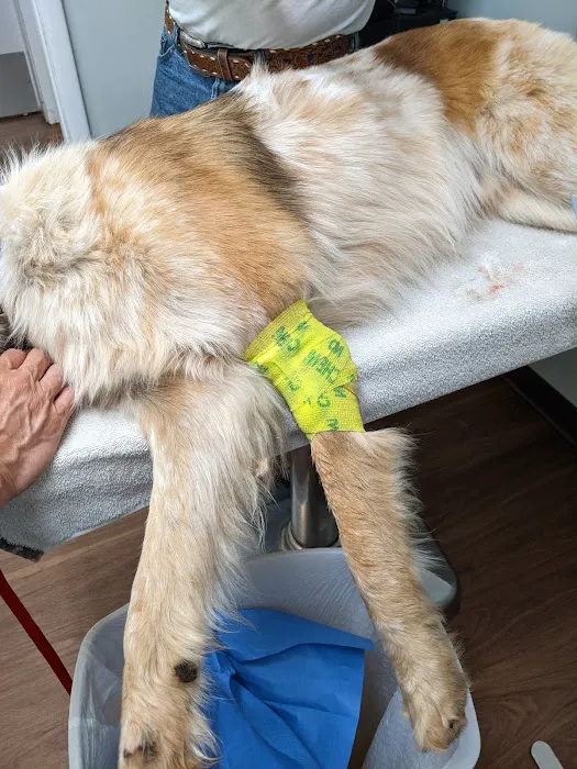 Veterinary Corner Picture 1