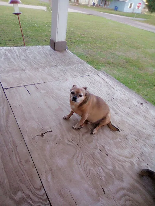 Veterinary Corner Picture 3