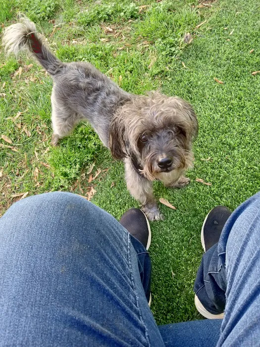 Veterinary Corner Picture 4