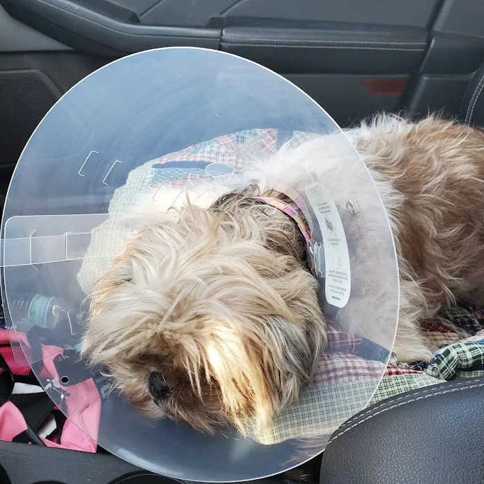 Veterinary Corner Picture 8