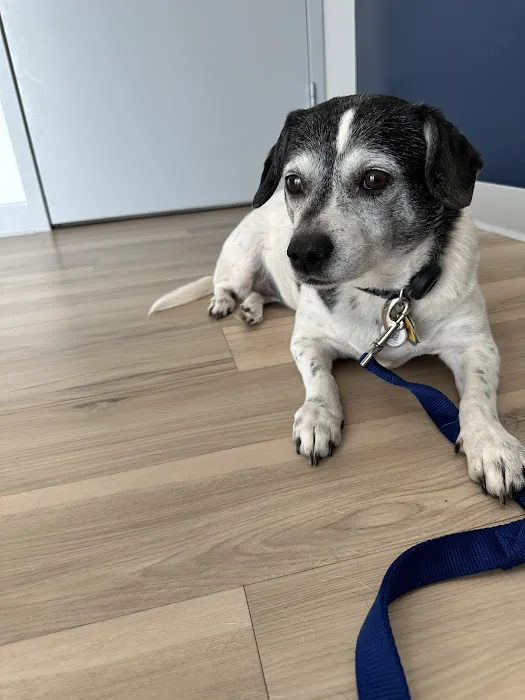 Urgent Pet Care Centers LLC Picture 5