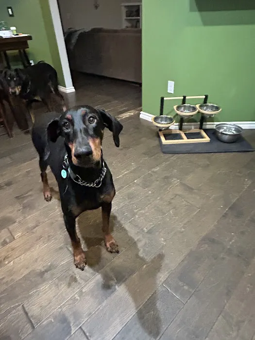 Urgent Pet Care Centers LLC Picture 3