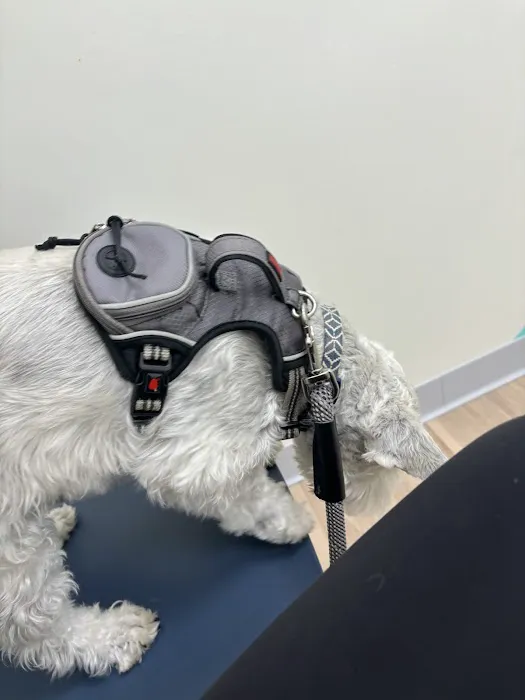 Urgent Pet Care Centers LLC Picture 6