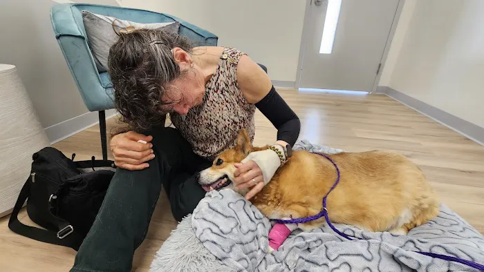 Urgent Pet Care Centers LLC Picture 8