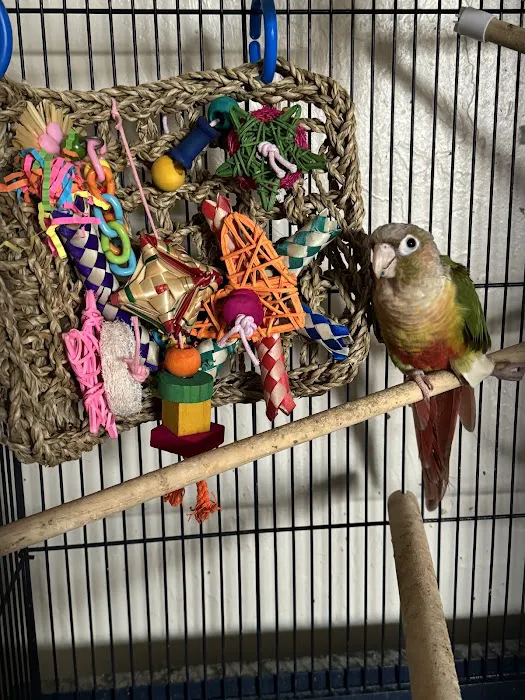 Stoneridge Animal Hospital Picture 2