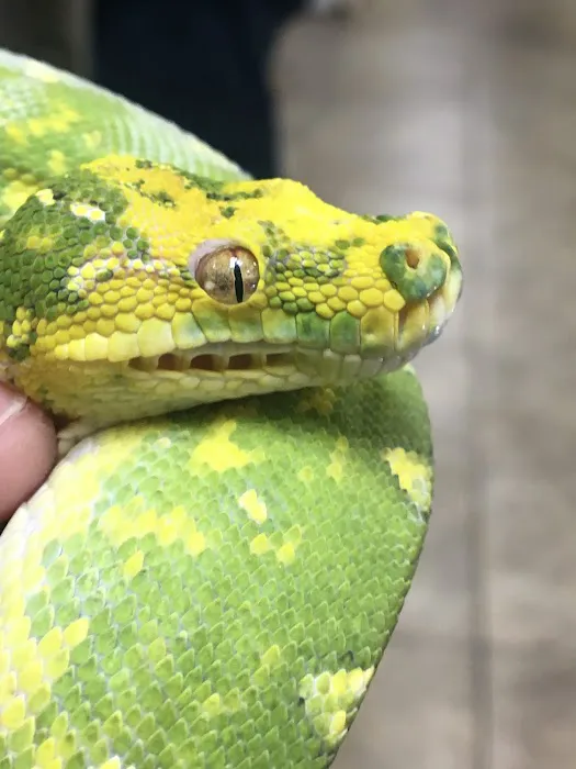 Stoneridge Animal Hospital Picture 1