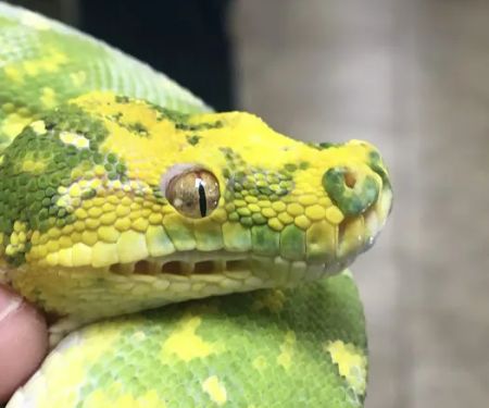 Stoneridge Animal Hospital