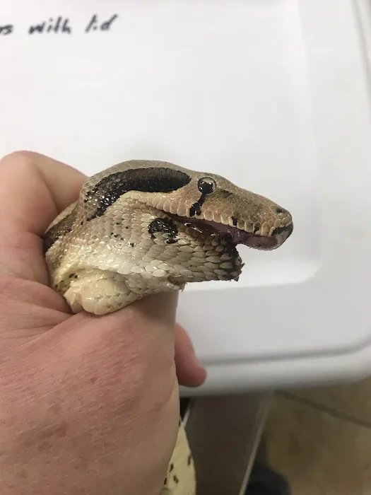 Stoneridge Animal Hospital Picture 3