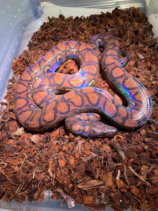 Stoneridge Animal Hospital Picture 6