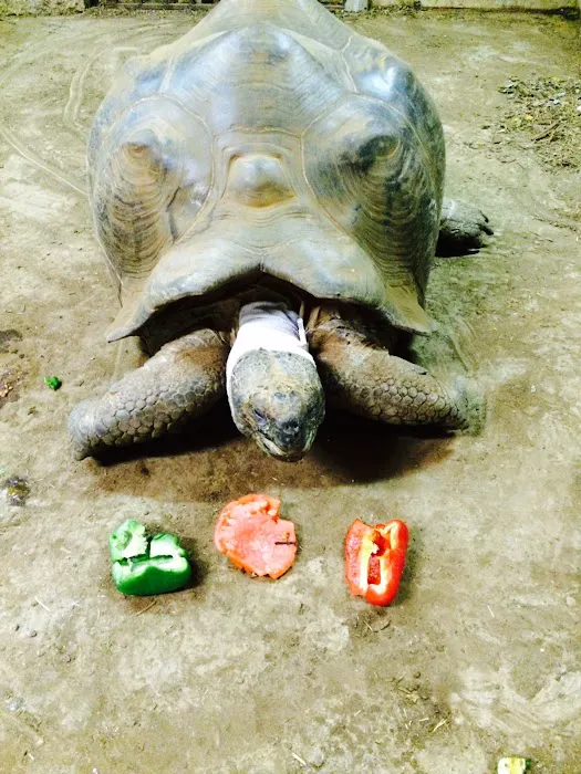 Stoneridge Animal Hospital Picture 4