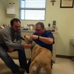 Pet Medical Center of Edmond