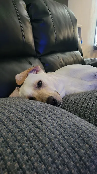 Pet Medical Center of Edmond Picture 7