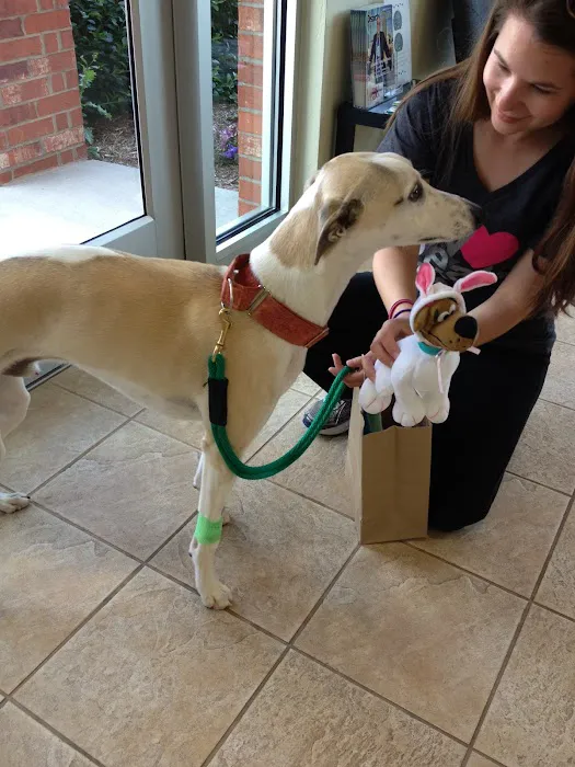 Pet Medical Center of Edmond Picture 4