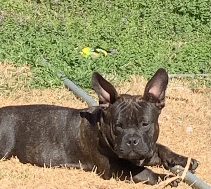 Oakwood Veterinary Clinic Picture 4