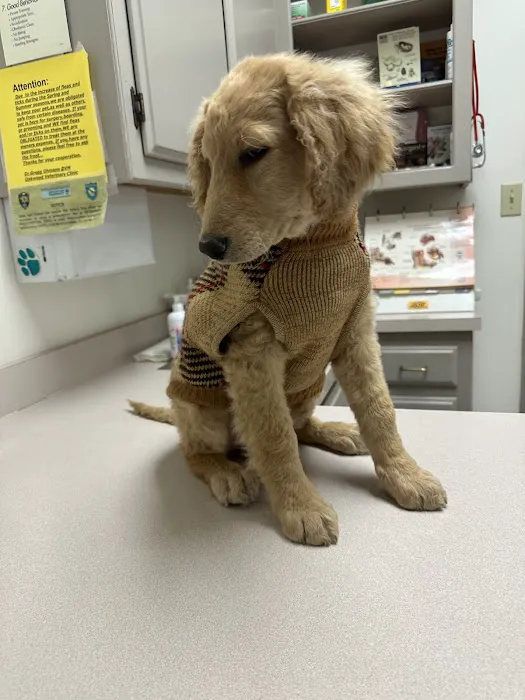 Oakwood Veterinary Clinic Picture 7