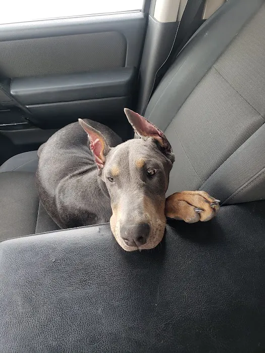 Oakwood Veterinary Clinic Picture 8