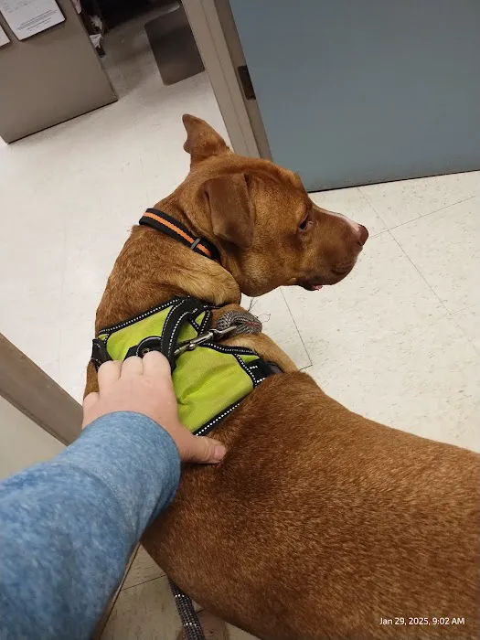 Oakwood Veterinary Clinic Picture 10