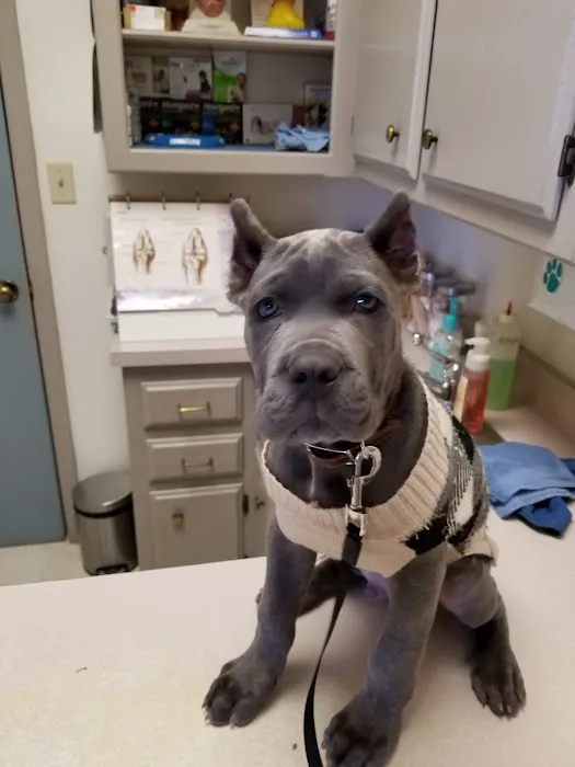 Oakwood Veterinary Clinic Picture 9