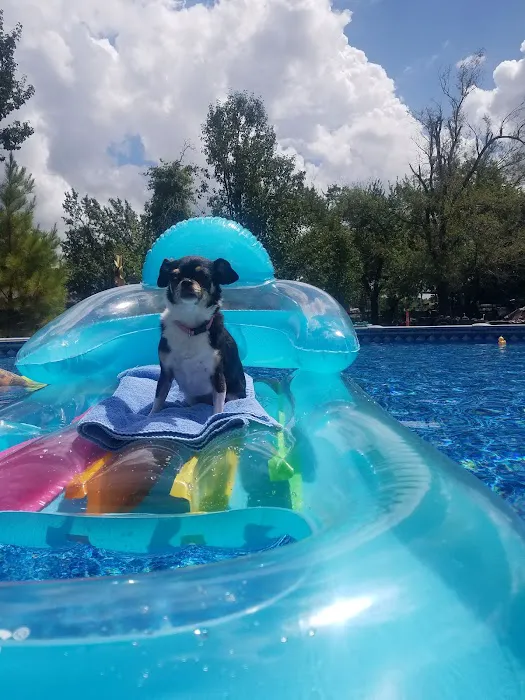 Cornerstone Veterinary Hospital Picture 4